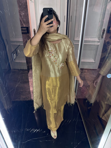 Kalyani suit